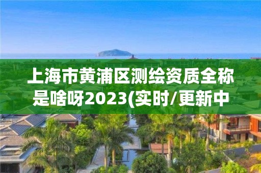 上海市黃浦區測繪資質全稱是啥呀2023(實時/更新中)