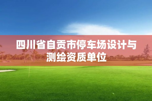 四川省自貢市停車場設計與測繪資質單位