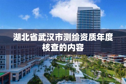 湖北省武漢市測繪資質年度核查的內容