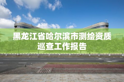 黑龍江省哈爾濱市測繪資質(zhì)巡查工作報(bào)告