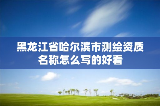 黑龍江省哈爾濱市測繪資質名稱怎么寫的好看