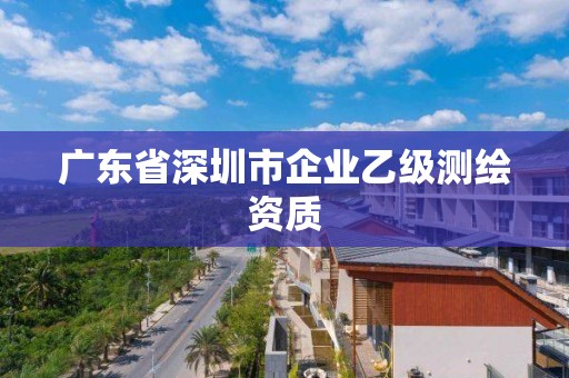 廣東省深圳市企業(yè)乙級測繪資質(zhì)