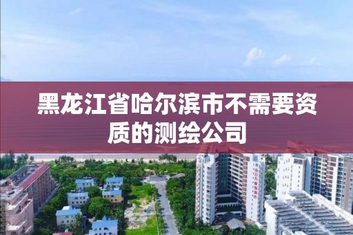 黑龍江省哈爾濱市不需要資質的測繪公司