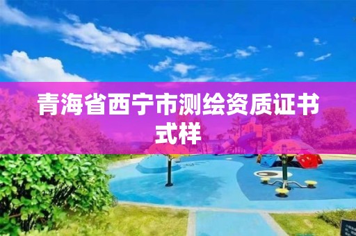 青海省西寧市測繪資質證書式樣