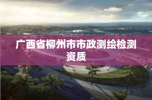 廣西省柳州市市政測繪檢測資質