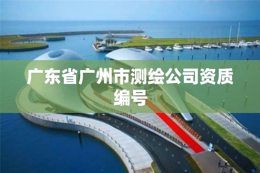 廣東省廣州市測繪公司資質(zhì)編號