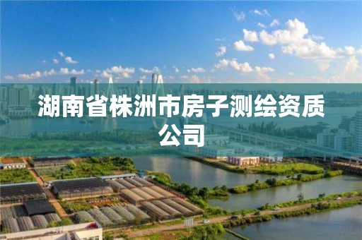 湖南省株洲市房子測繪資質公司