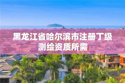 黑龍江省哈爾濱市注冊丁級測繪資質所需