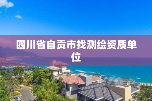 四川省自貢市找測繪資質(zhì)單位