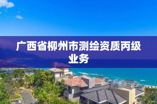 廣西省柳州市測繪資質(zhì)丙級業(yè)務(wù)