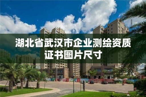 湖北省武漢市企業(yè)測(cè)繪資質(zhì)證書(shū)圖片尺寸