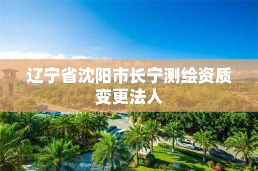 遼寧省沈陽(yáng)市長(zhǎng)寧測(cè)繪資質(zhì)變更法人