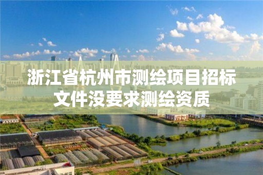 浙江省杭州市測繪項目招標文件沒要求測繪資質