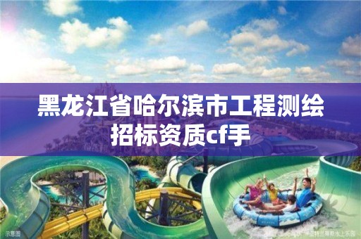 黑龍江省哈爾濱市工程測繪招標(biāo)資質(zhì)cf手