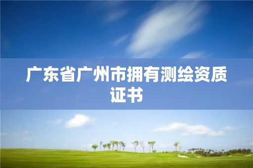 廣東省廣州市擁有測(cè)繪資質(zhì)證書