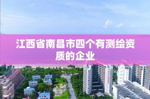 江西省南昌市四個有測繪資質的企業