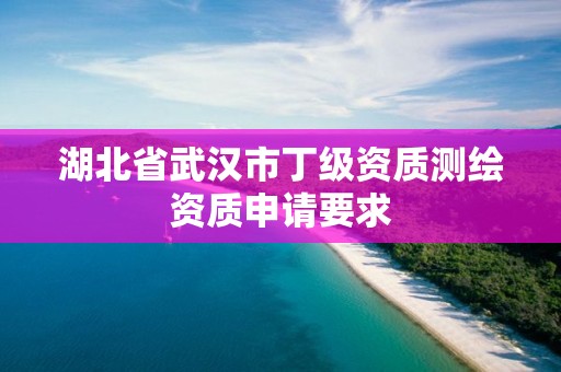 湖北省武漢市丁級資質測繪資質申請要求