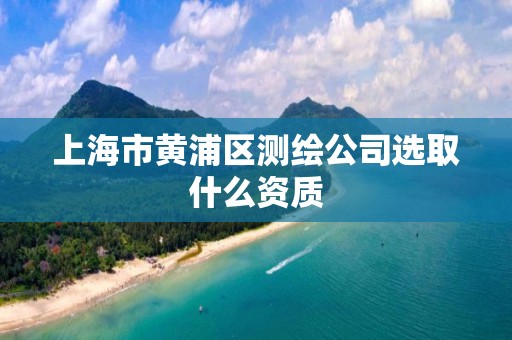 上海市黃浦區測繪公司選取什么資質