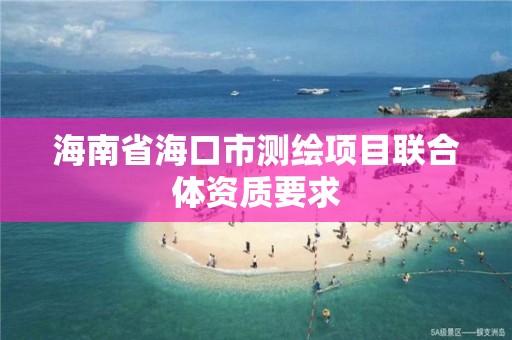 海南省海口市測繪項目聯合體資質要求