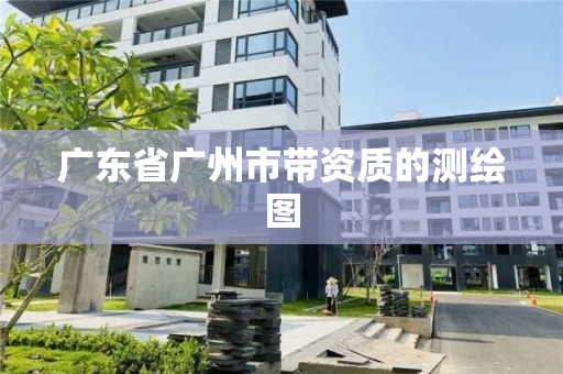 廣東省廣州市帶資質的測繪圖