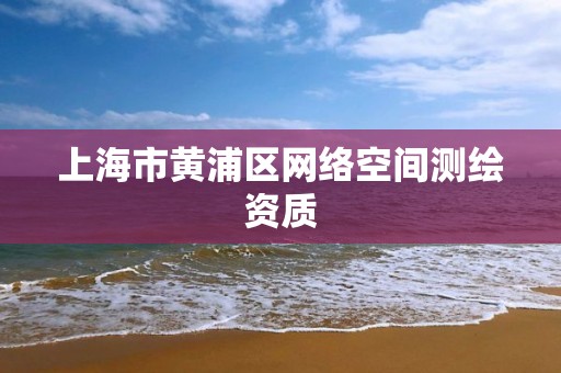 上海市黃浦區網絡空間測繪資質