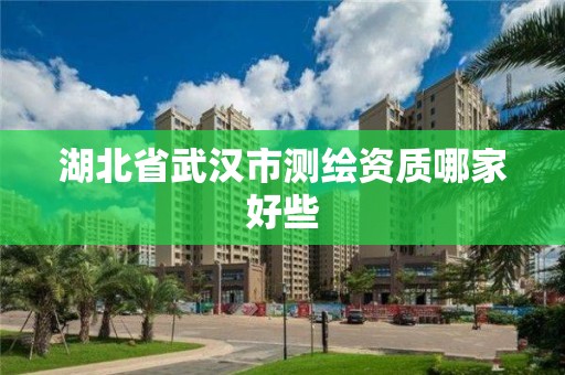 湖北省武漢市測繪資質哪家好些