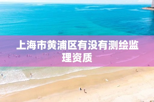 上海市黃浦區有沒有測繪監理資質