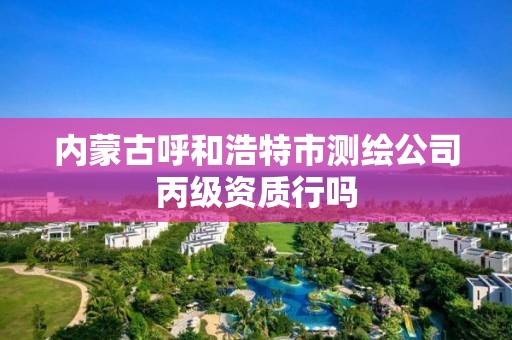 內蒙古呼和浩特市測繪公司丙級資質行嗎