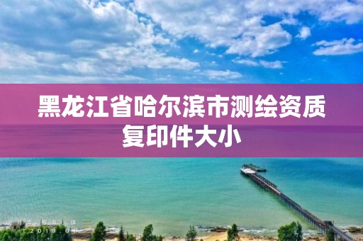 黑龍江省哈爾濱市測繪資質(zhì)復(fù)印件大小