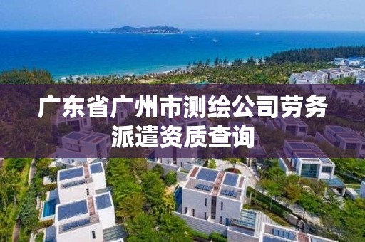 廣東省廣州市測繪公司勞務派遣資質查詢