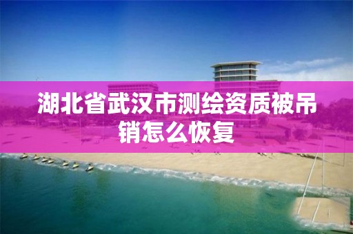 湖北省武漢市測繪資質被吊銷怎么恢復