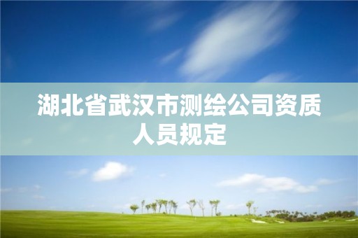 湖北省武漢市測(cè)繪公司資質(zhì)人員規(guī)定