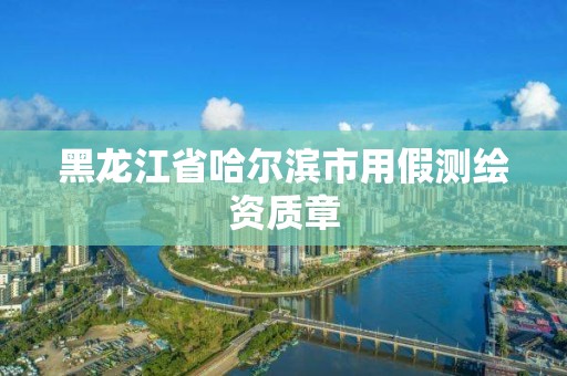 黑龍江省哈爾濱市用假測繪資質(zhì)章