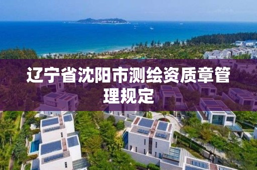 遼寧省沈陽市測繪資質章管理規定