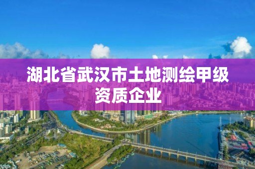 湖北省武漢市土地測繪甲級資質企業