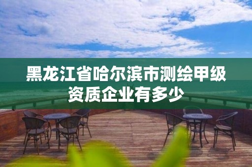 黑龍江省哈爾濱市測繪甲級資質企業有多少