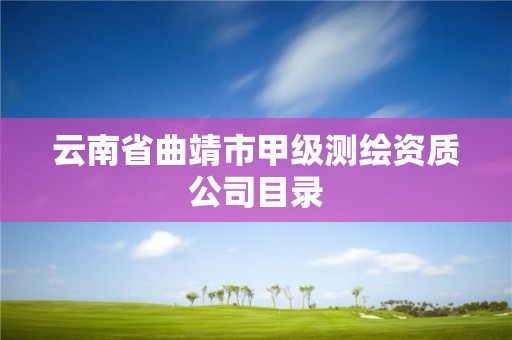 云南省曲靖市甲級測繪資質公司目錄