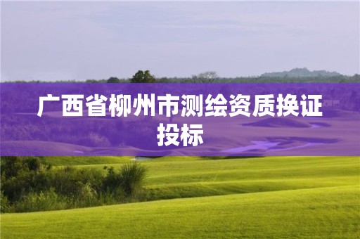 廣西省柳州市測(cè)繪資質(zhì)換證投標(biāo)