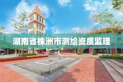 湖南省株洲市測繪資質監理