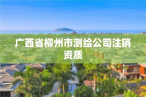 廣西省柳州市測繪公司注銷資質(zhì)