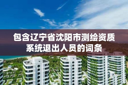 包含遼寧省沈陽市測繪資質系統退出人員的詞條