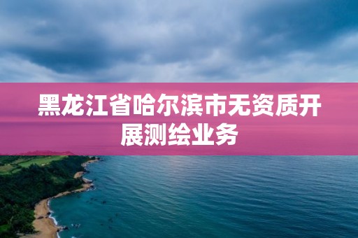 黑龍江省哈爾濱市無資質開展測繪業務