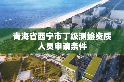 青海省西寧市丁級測繪資質(zhì)人員申請條件