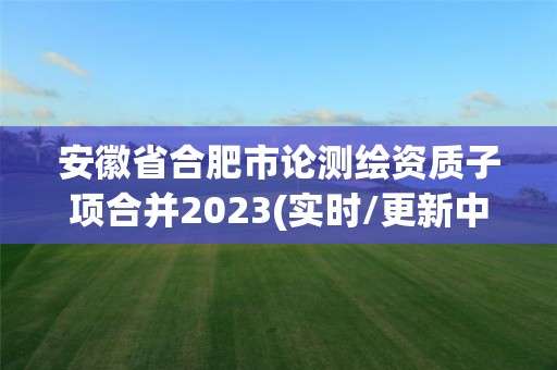 安徽省合肥市論測繪資質子項合并2023(實時/更新中)