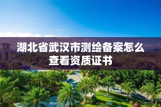 湖北省武漢市測繪備案怎么查看資質證書