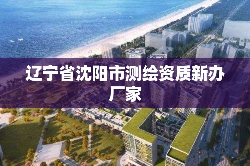 遼寧省沈陽市測繪資質(zhì)新辦廠家