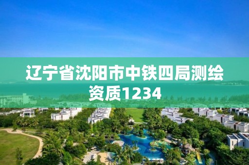 遼寧省沈陽市中鐵四局測繪資質1234