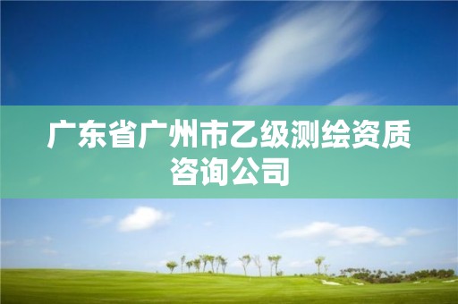 廣東省廣州市乙級(jí)測(cè)繪資質(zhì)咨詢公司