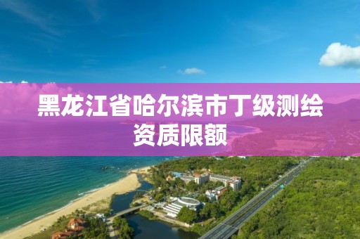 黑龍江省哈爾濱市丁級測繪資質限額