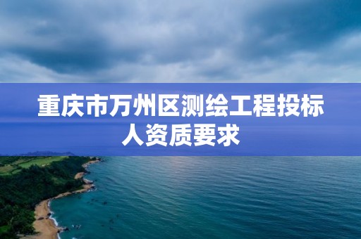 重慶市萬州區測繪工程投標人資質要求